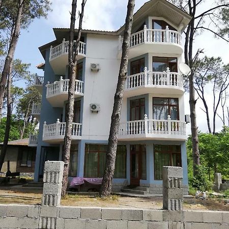 Hotel Shekvetili Shekhvetili Ngoại thất bức ảnh