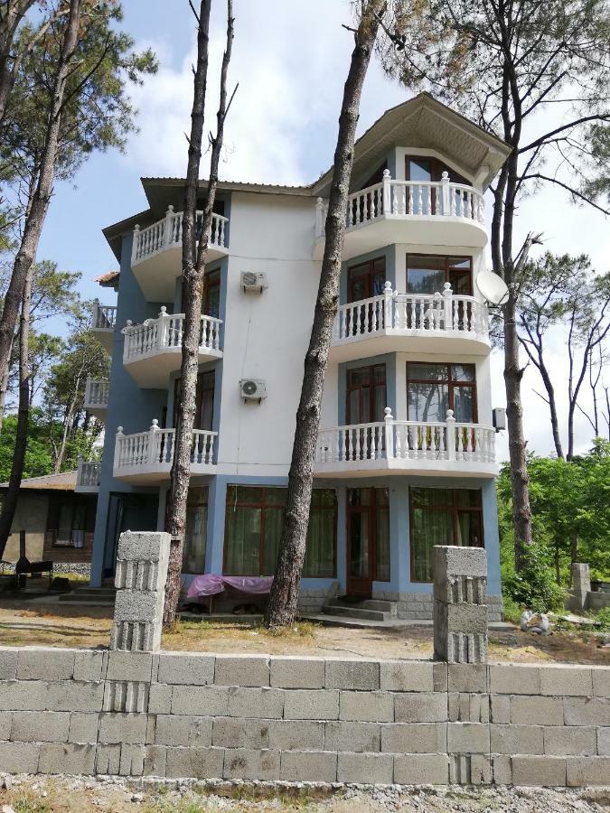 Hotel Shekvetili Shekhvetili Ngoại thất bức ảnh