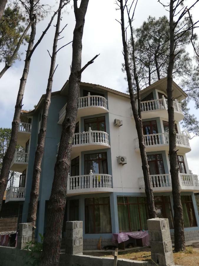 Hotel Shekvetili Shekhvetili Ngoại thất bức ảnh